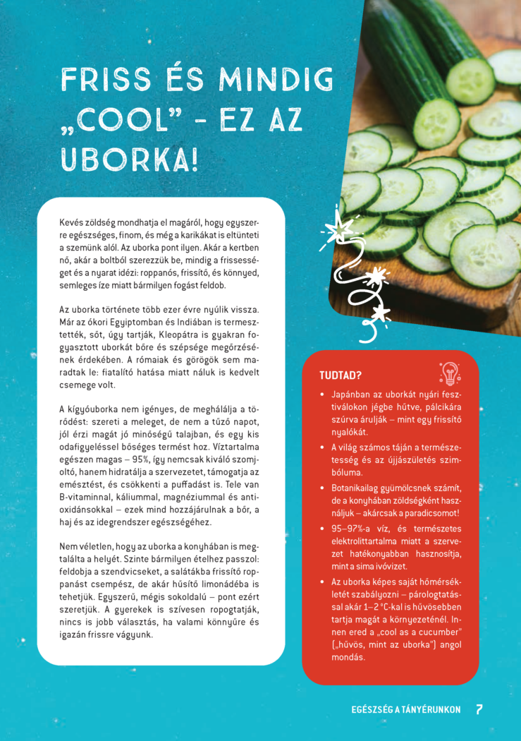 Receptfuzet B5 HU v5 2 web 2 Page 07